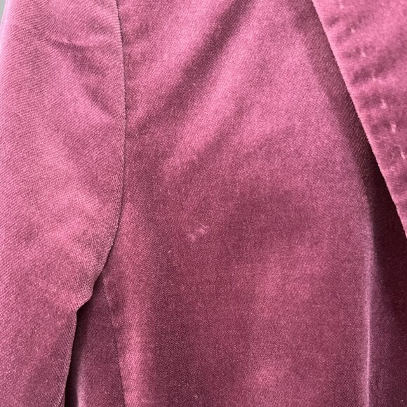 Ann Taylor Merlot Velvet Blazer, Size: 2 - Picture 6 of 10